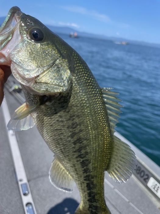 truth  ブログ写真 2021/07/24