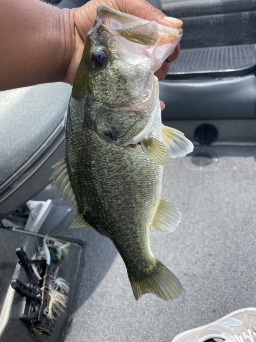 truth ブログ写真 2021/07/26