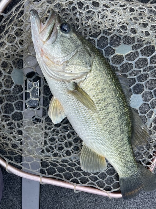 truth ブログ写真 2021/07/26