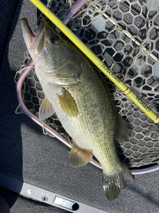 truth ブログ写真 2021/07/26