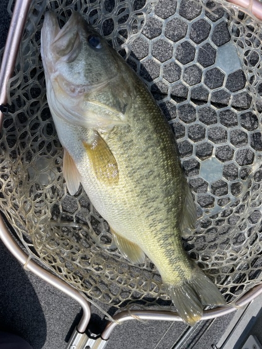 truth  ブログ写真 2021/08/02