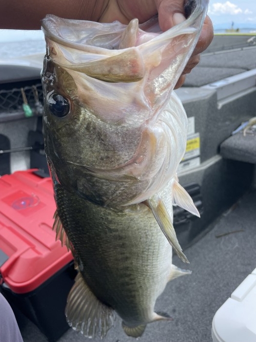 truth  ブログ写真 2021/08/02