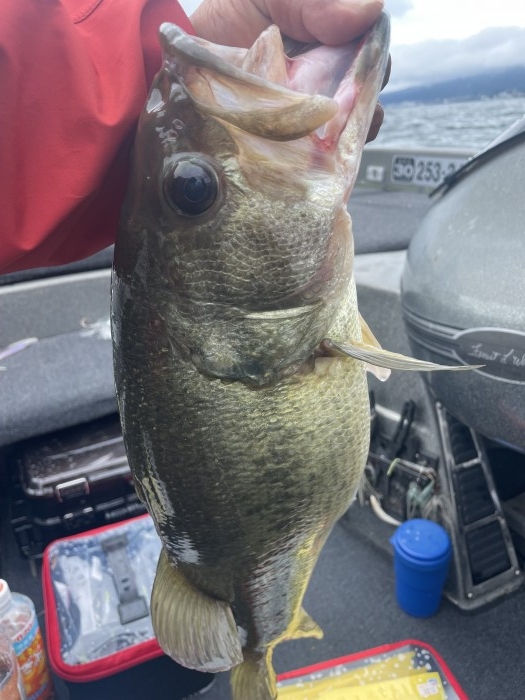 truth  ブログ写真 2021/08/03