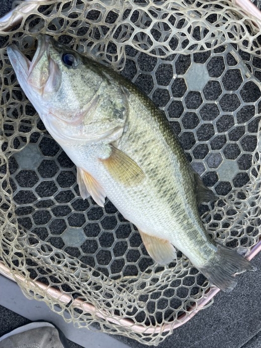 truth  ブログ写真 2021/08/04