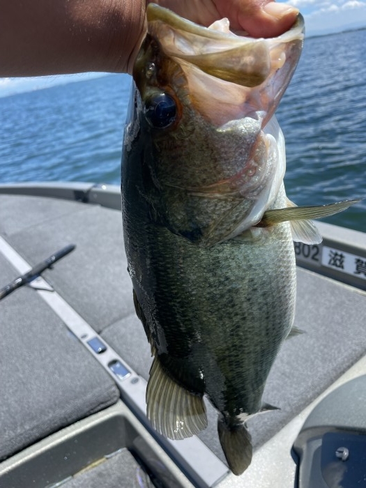 truth  ブログ写真 2021/08/04