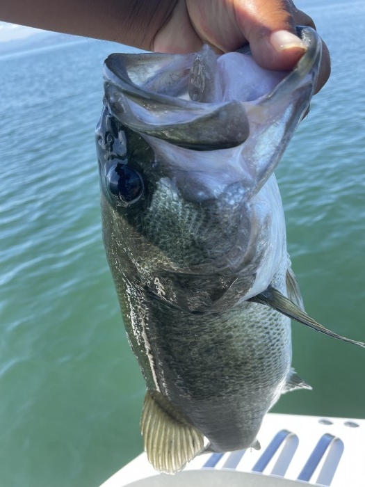 truth  ブログ写真 2021/08/05