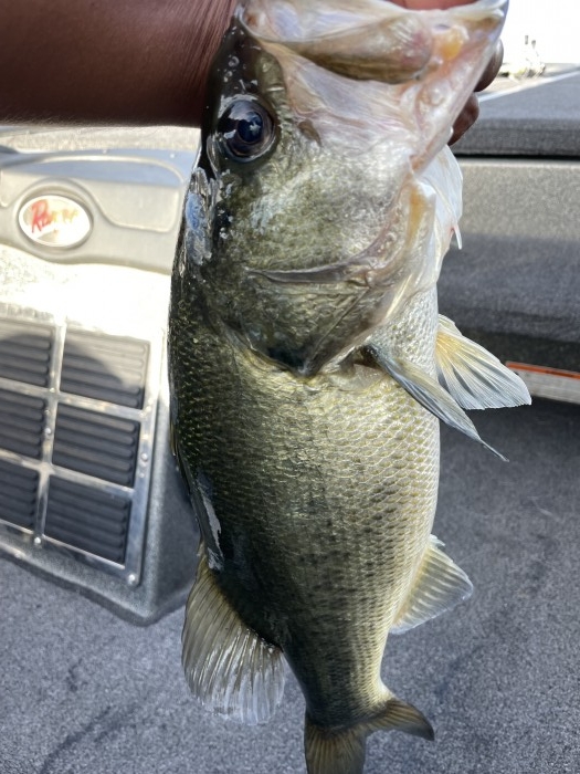 truth  ブログ写真 2021/08/07