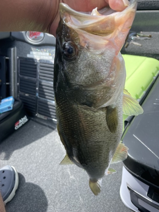 truth  ブログ写真 2021/08/10