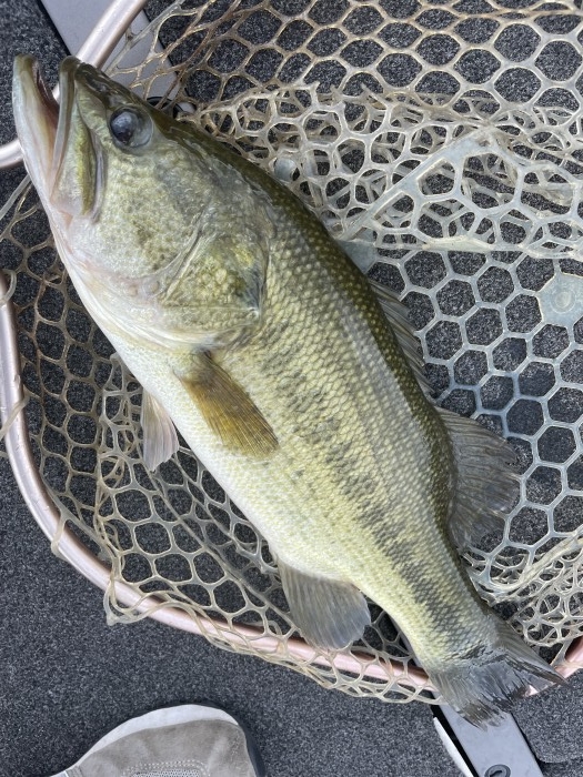 truth  ブログ写真 2021/08/10