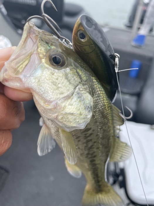 truth  ブログ写真 2021/08/11