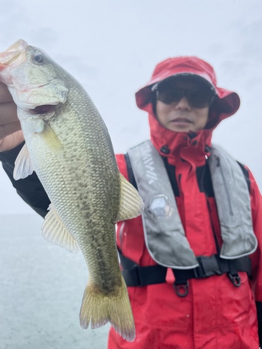 truth  ブログ写真 2021/08/12