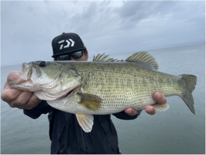 truth  ブログ写真 2021/08/13