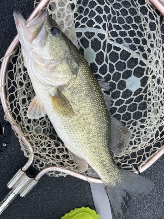 truth  ブログ写真 2021/08/13