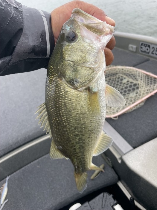 truth  ブログ写真 2021/08/13