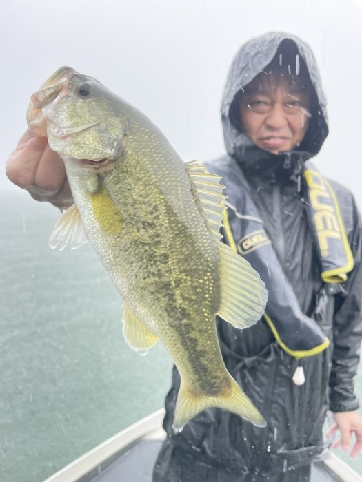 truth  ブログ写真 2021/08/14