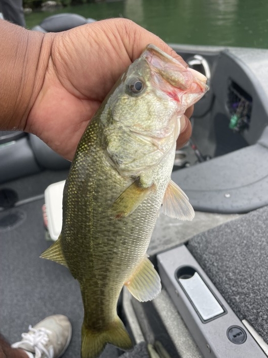 truth ブログ写真 2021/08/16