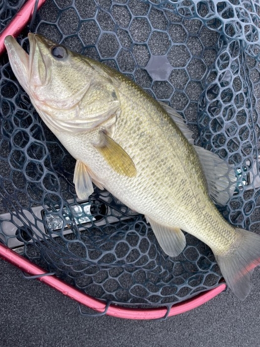 truth ブログ写真 2021/08/18