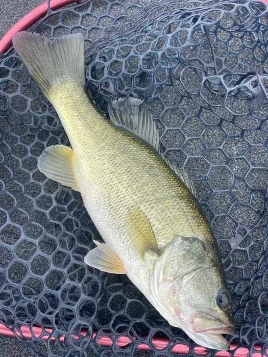 truth ブログ写真 2021/08/19