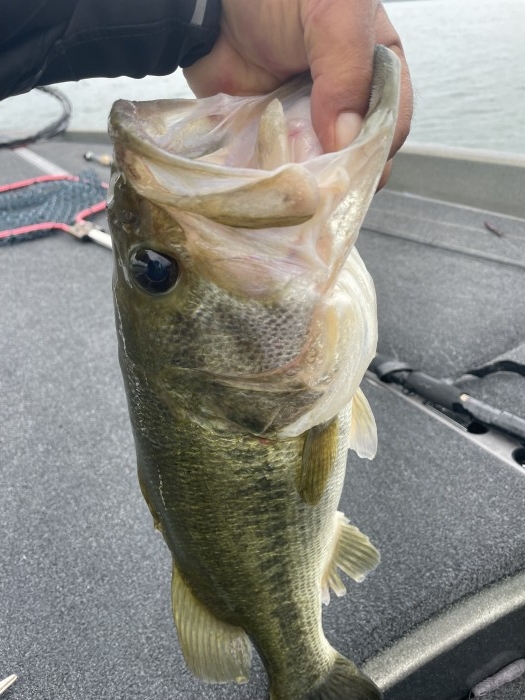 truth ブログ写真 2021/08/19