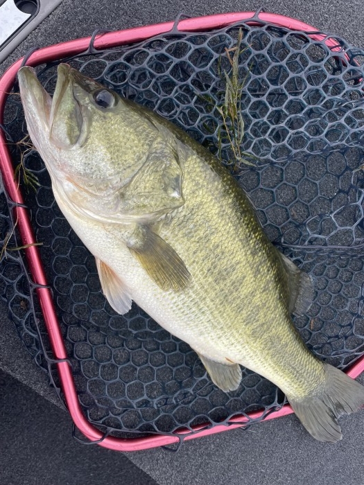 truth ブログ写真 2021/08/19