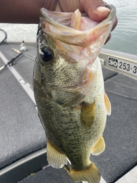 truth ブログ写真 2021/08/19