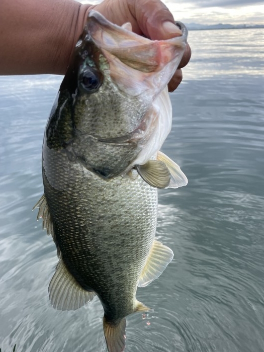 truth  ブログ写真 2021/08/22