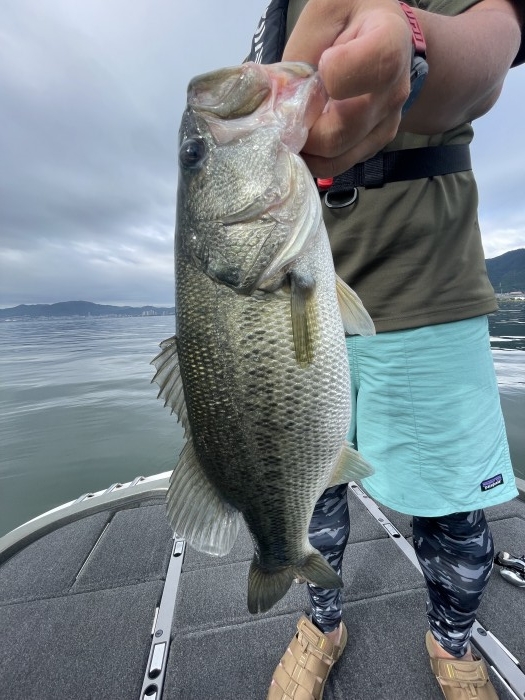 truth  ブログ写真 2021/08/22