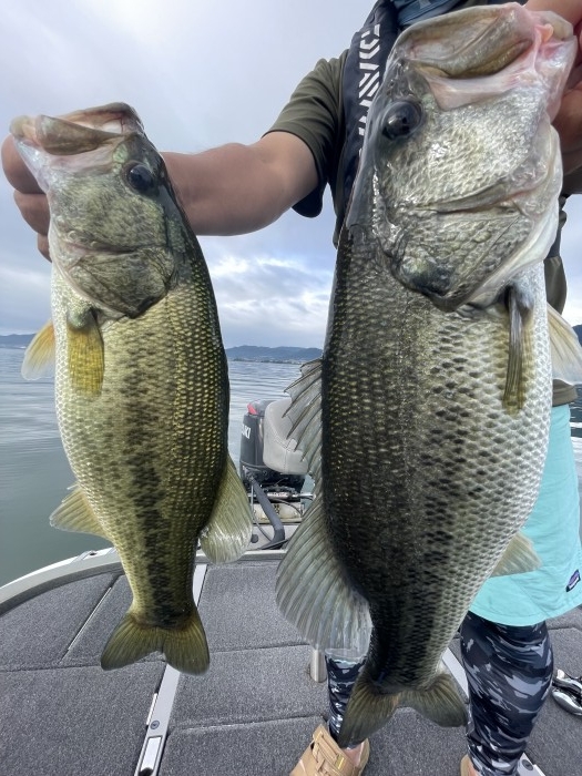 truth  ブログ写真 2021/08/22