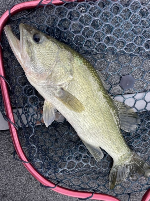 truth  ブログ写真 2021/08/22