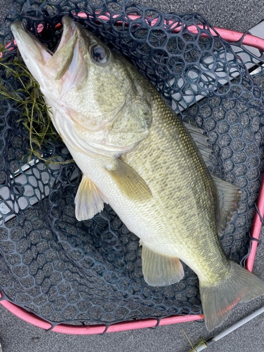 truth  ブログ写真 2021/08/22