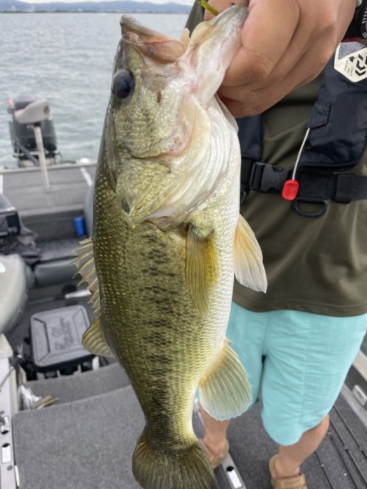 truth  ブログ写真 2021/08/22