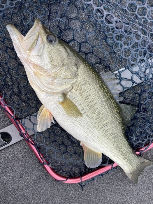 truth  ブログ写真 2021/09/13