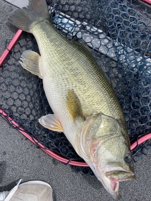 truth  ブログ写真 2021/09/13