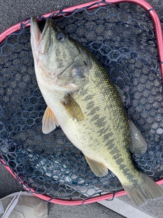 truth  ブログ写真 2021/09/13