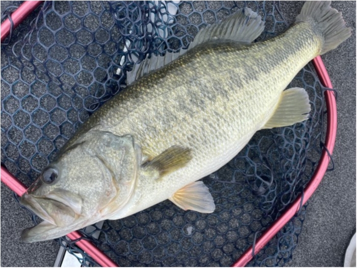 truth  ブログ写真 2021/09/14