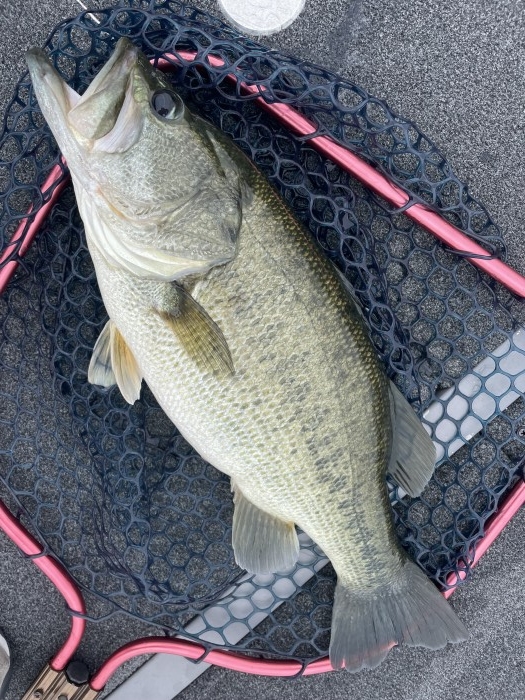 truth  ブログ写真 2021/09/14