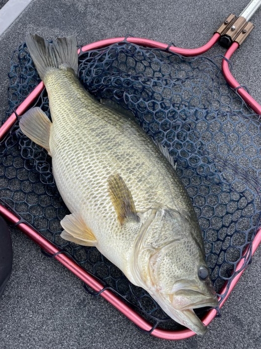 truth  ブログ写真 2021/09/14