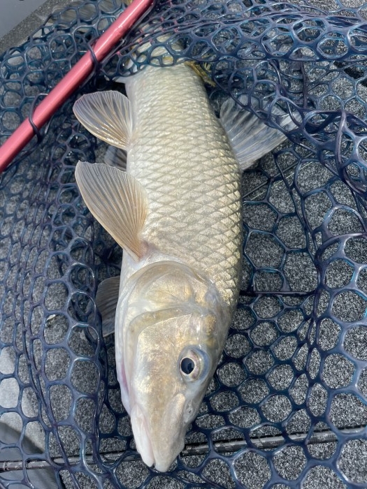 truth  ブログ写真 2021/09/15