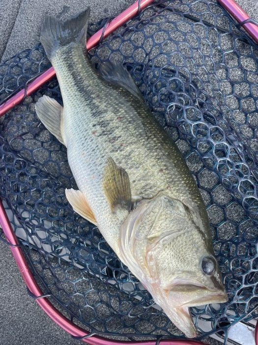 truth  ブログ写真 2021/09/15