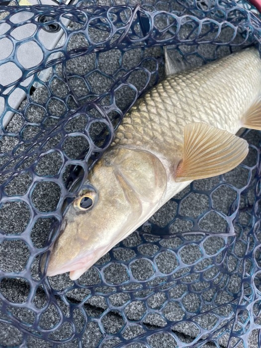 truth  ブログ写真 2021/09/17