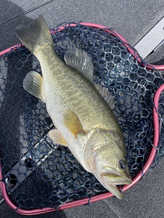 truth  ブログ写真 2021/09/18