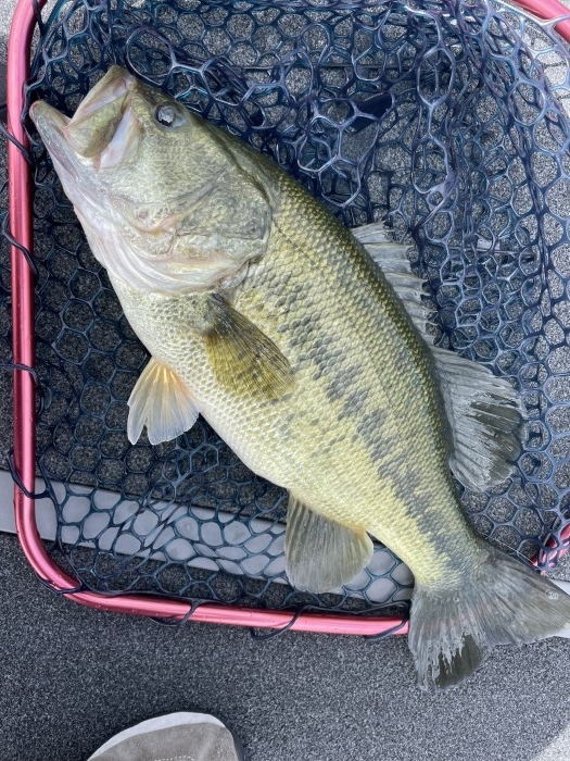 truth  ブログ写真 2021/09/18