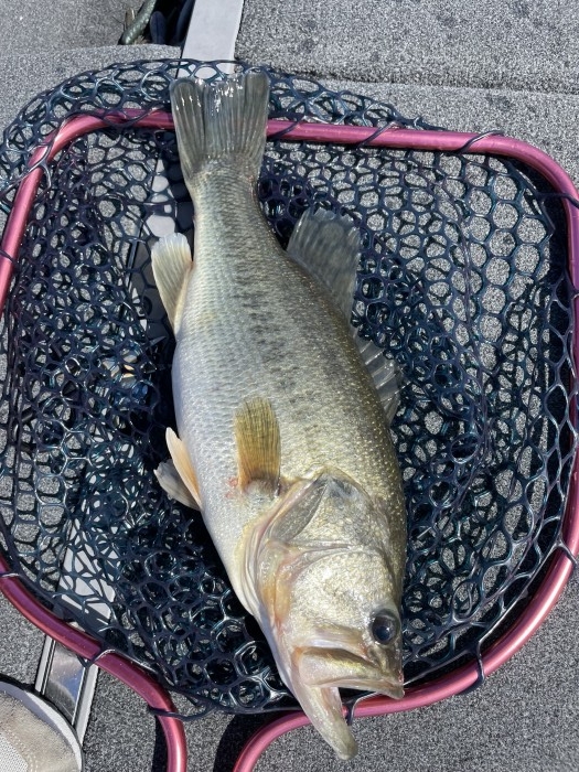 truth  ブログ写真 2021/09/19