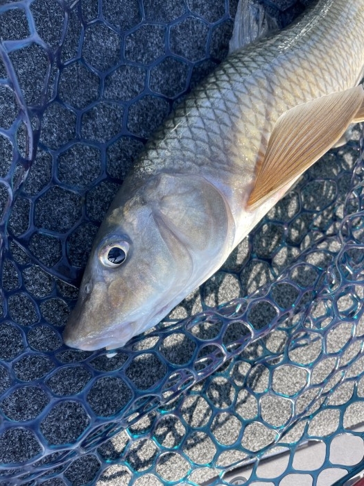 truth  ブログ写真 2021/09/19