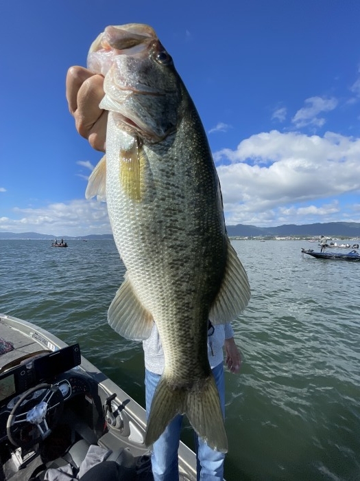 truth  ブログ写真 2021/09/19