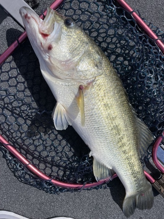 truth  ブログ写真 2021/09/19