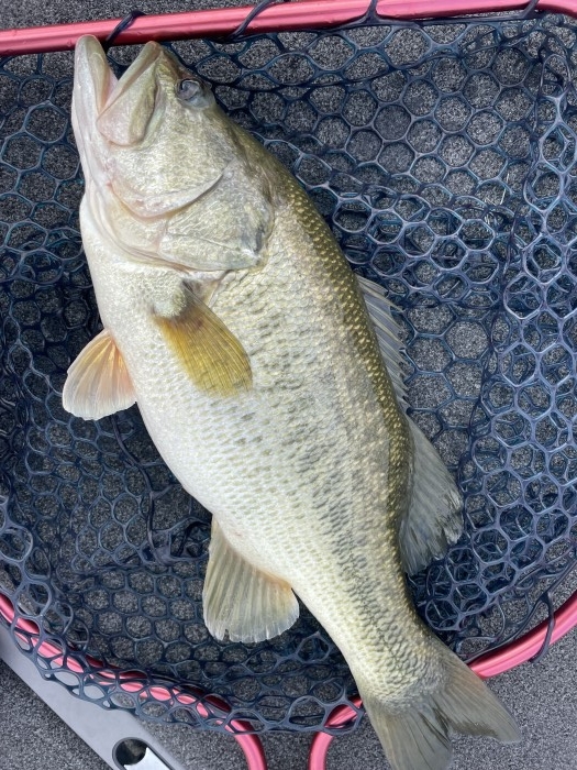 truth  ブログ写真 2021/09/19