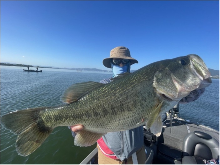 truth  ブログ写真 2021/09/21