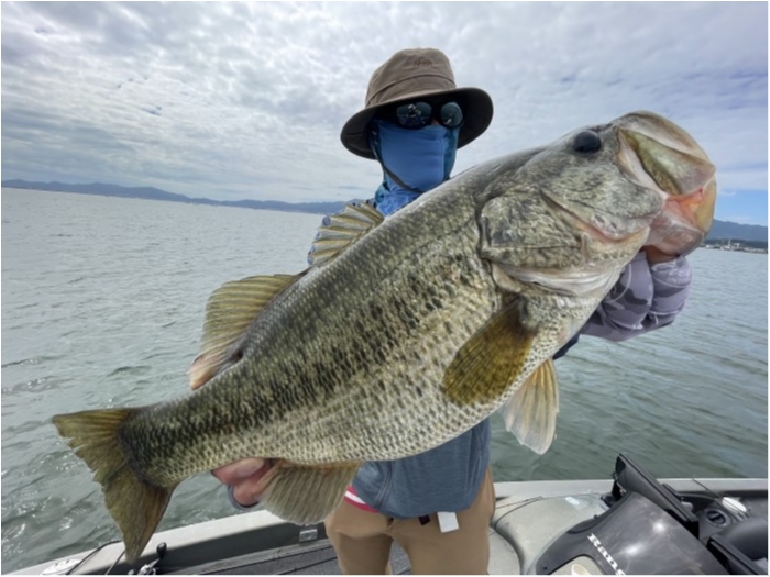 truth  ブログ写真 2021/09/21