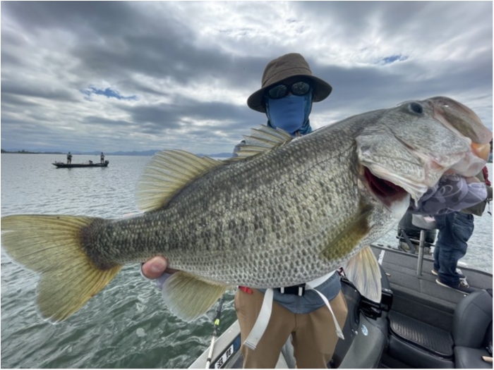 truth  ブログ写真 2021/09/21